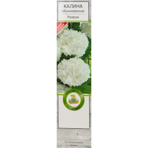 Калина Розеум в тубе Поиск Инвест 82150741 STLM-2102227