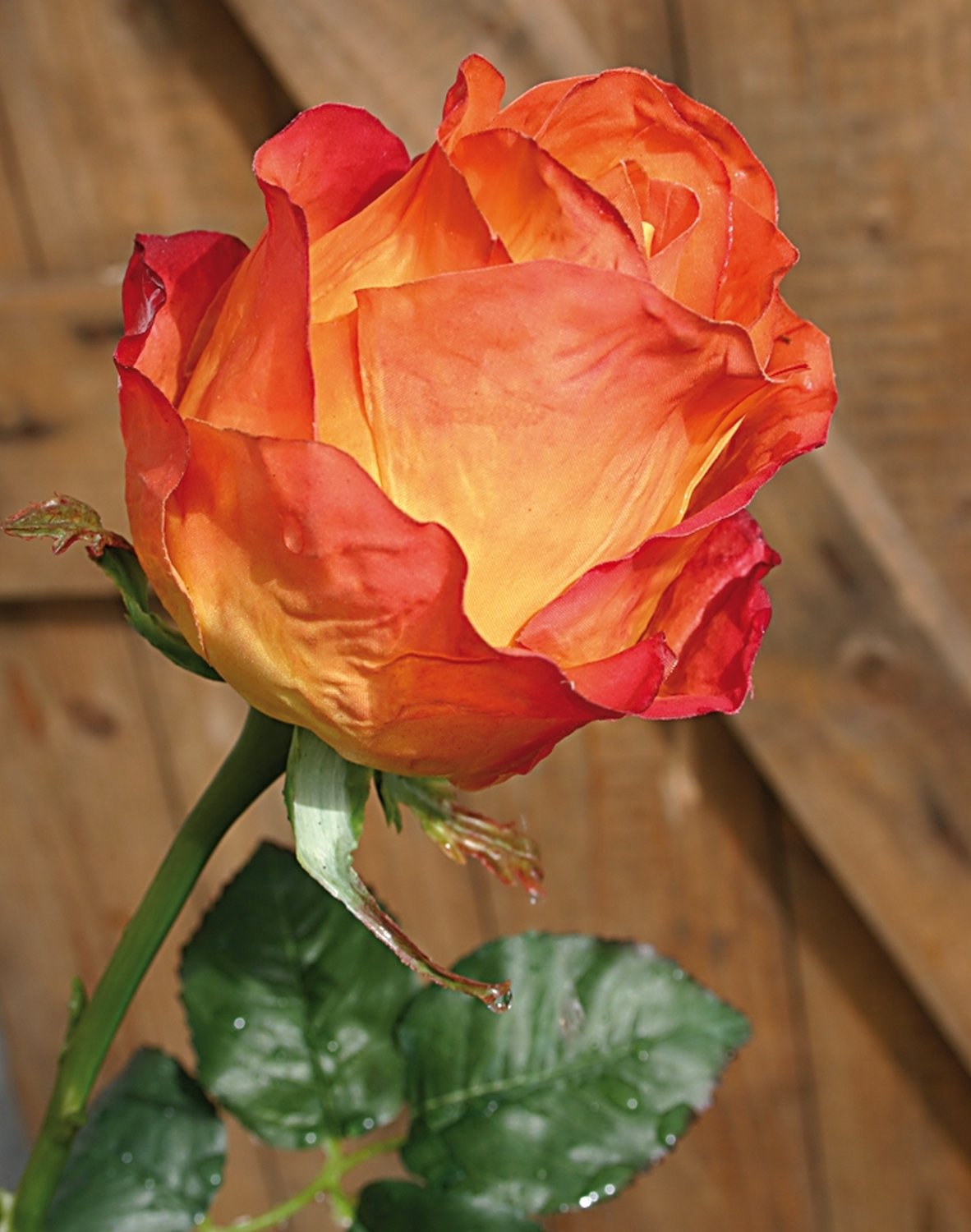 3257 334 a3 Шелковые бутоны роз Equador, 103 см, real touch, оранжевые H-andreas  - Вид №2