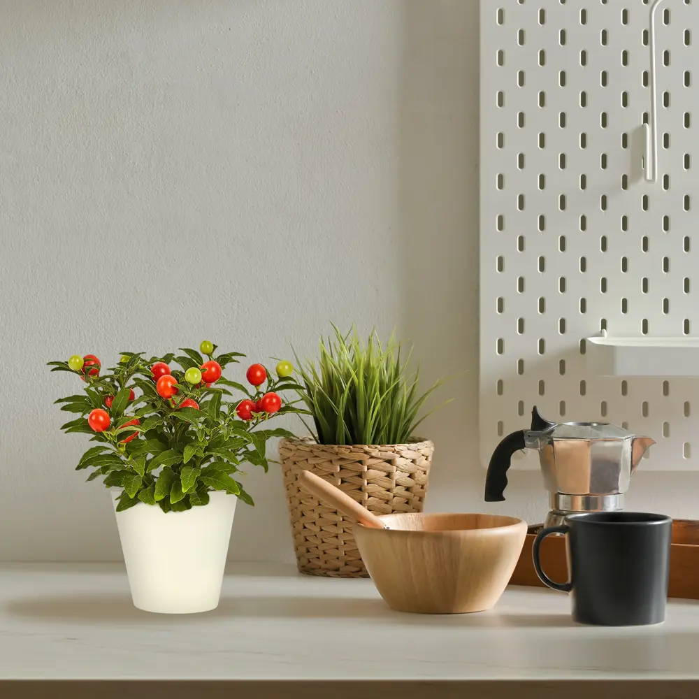 Солянум микс 10.5x25 см Santreyd STLM-2205983 - Вид №3