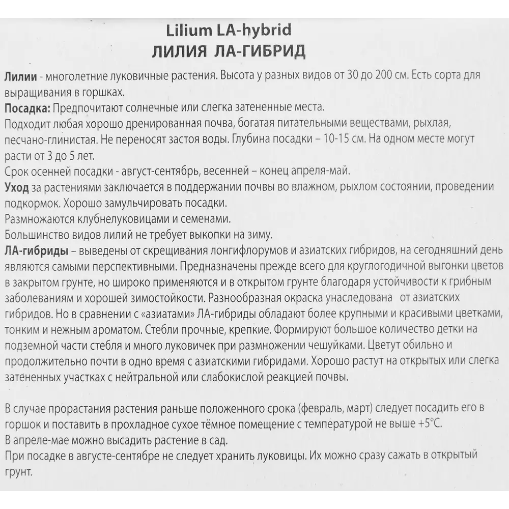 Лилия ла-гибрид Йеллоу Даймонд 85205745 STLM-2040627 ПОИСК  - Вид №2