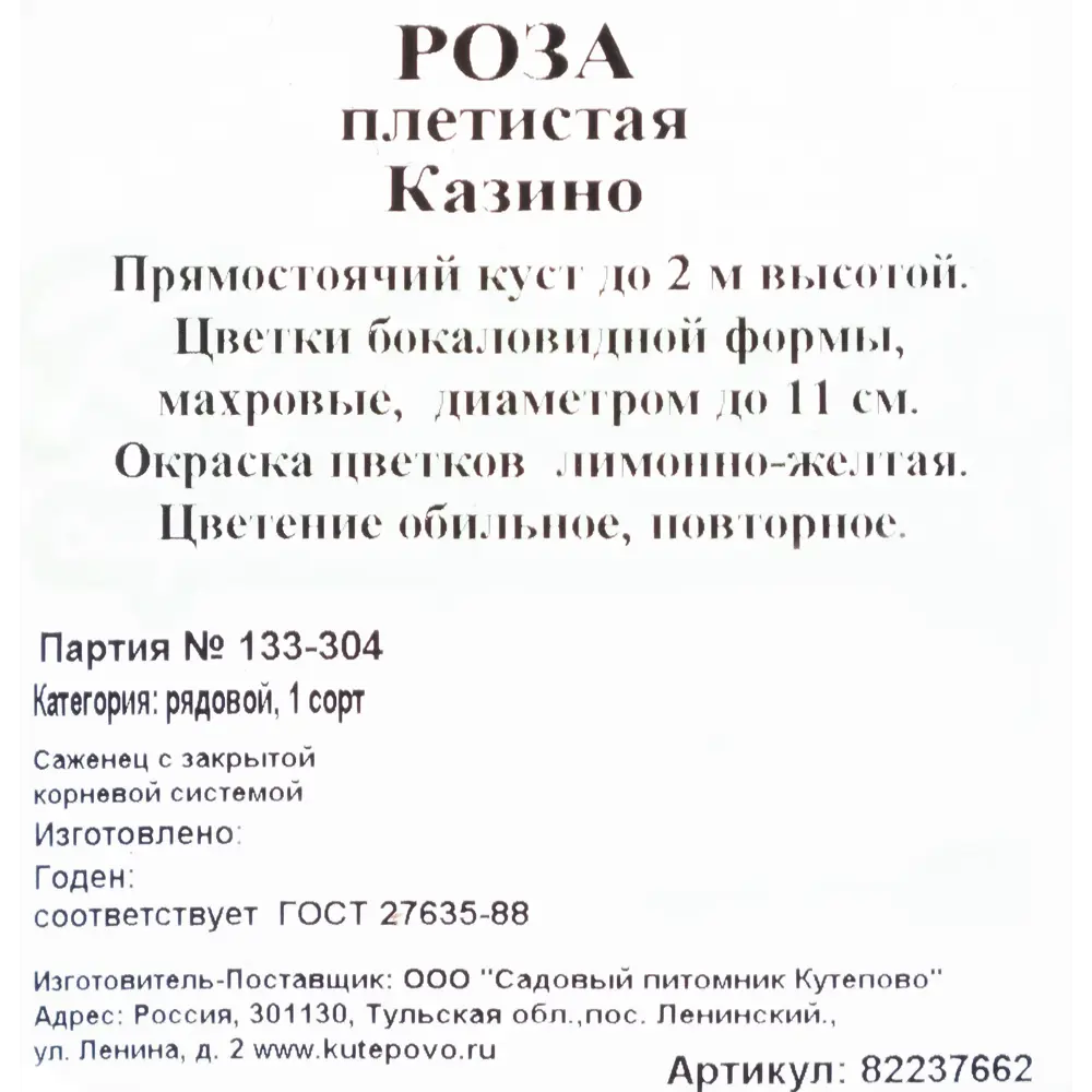 Роза плетистая «Казино» С4 82237662 STLM-2020556 Santreyd 