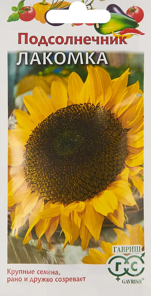 Семена подсолнечника Лакомка от ГавРИШ - скороспелый сорт для урожайного сезона 86222869