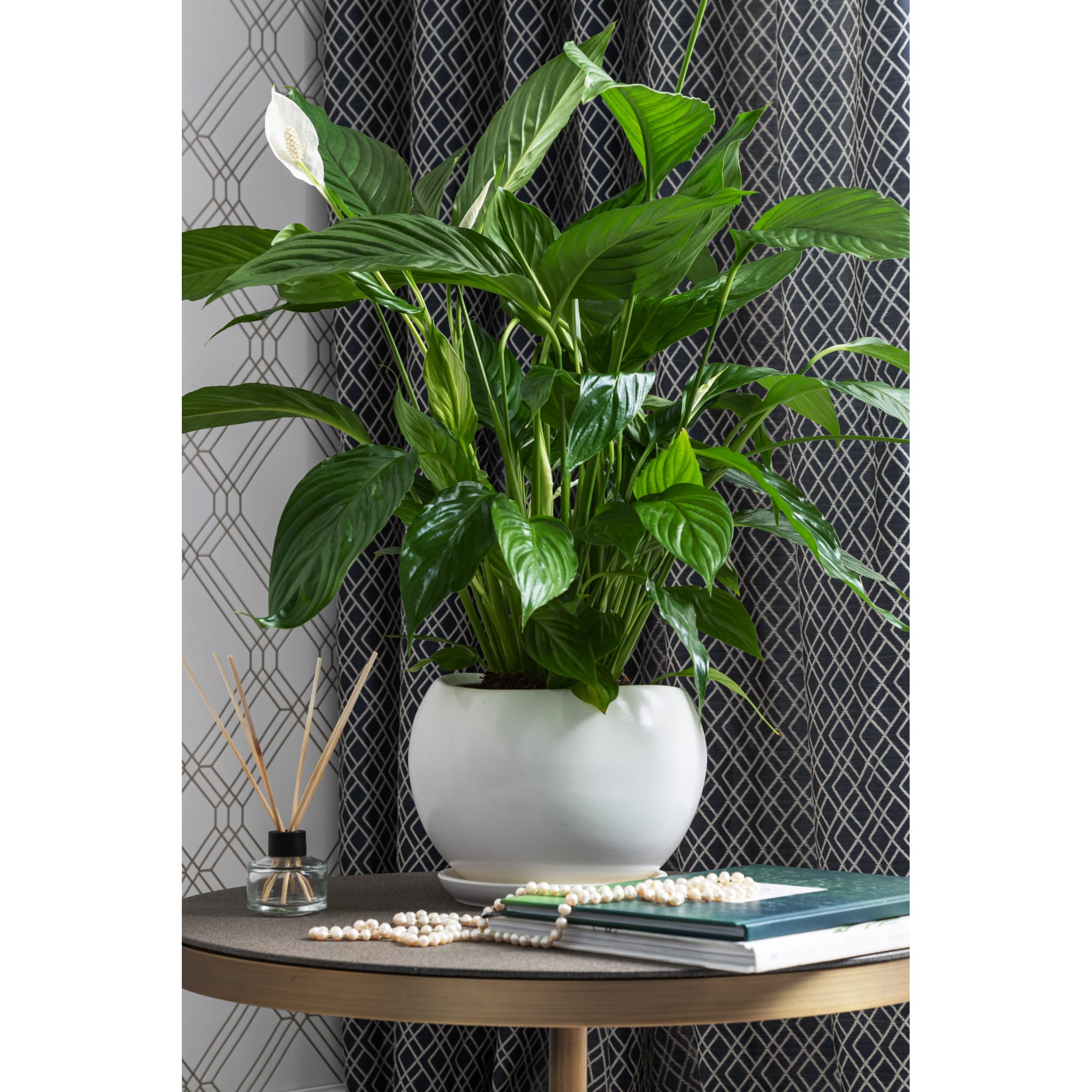 81932591 Горшок цветочный ø20 h18 см v3.5 л керамика белый Адель Santreyd - Вид №4