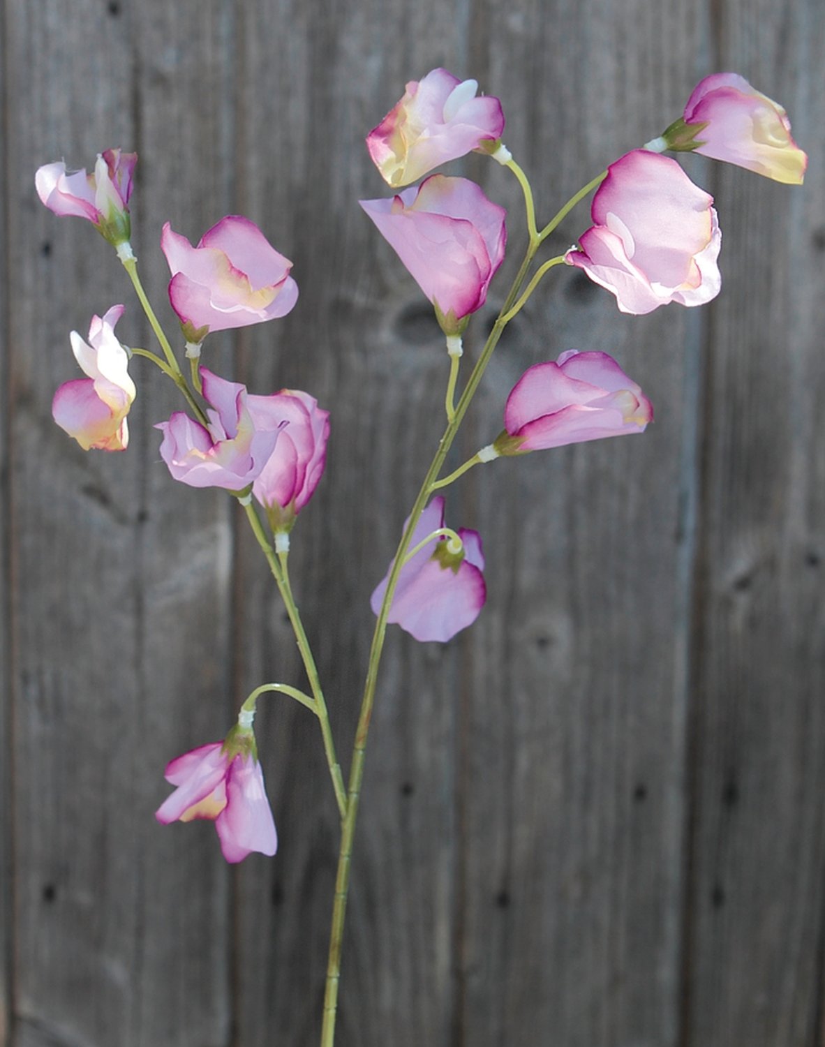 3181 005 a3 Вики искусственные, 4 штуки, 48 см, разноцветная миткалевая роза H-andreas  - Вид №7