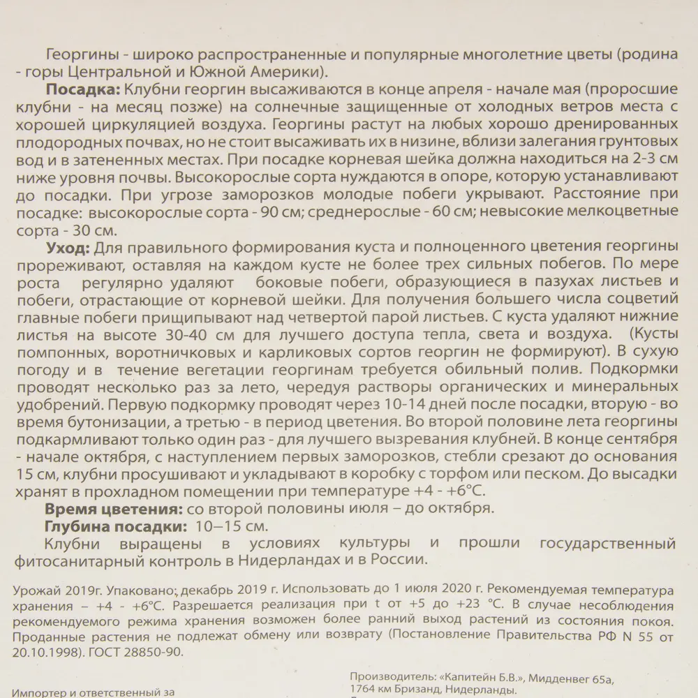 Георгина «Грейт сайленс» 82539319 STLM-2003545 BLOOMING LIFE  - Вид №2
