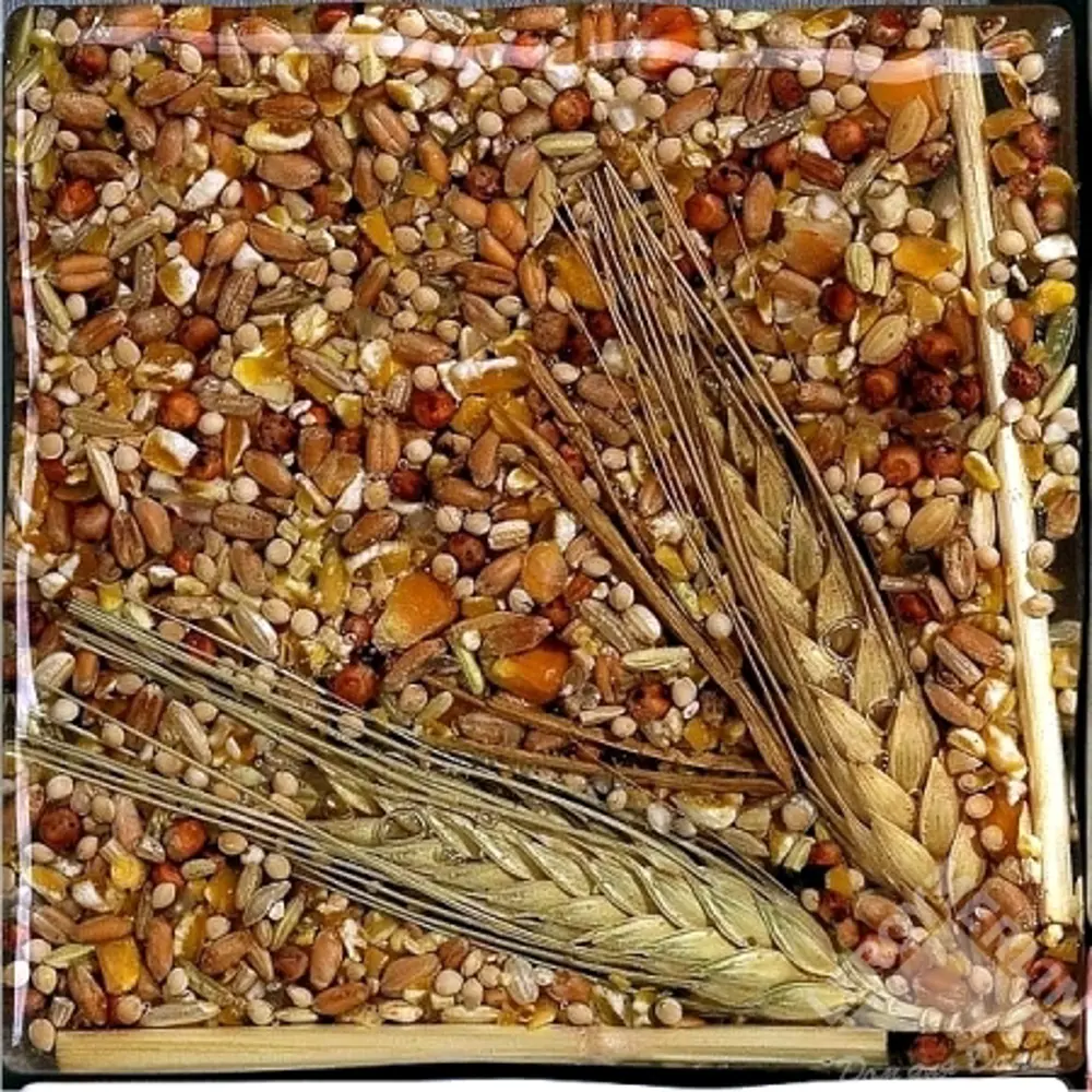 Декор Decor Fantasy-Spiga 10x10 см Santreyd STLM-2093257