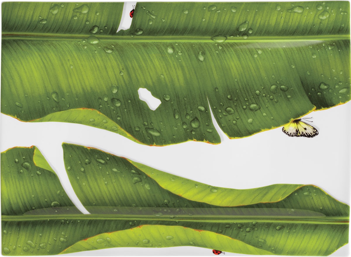 10640778 Taitu Блюдо прямоугольное Taitu "Свобода" 40х29см Фарфор костяной 