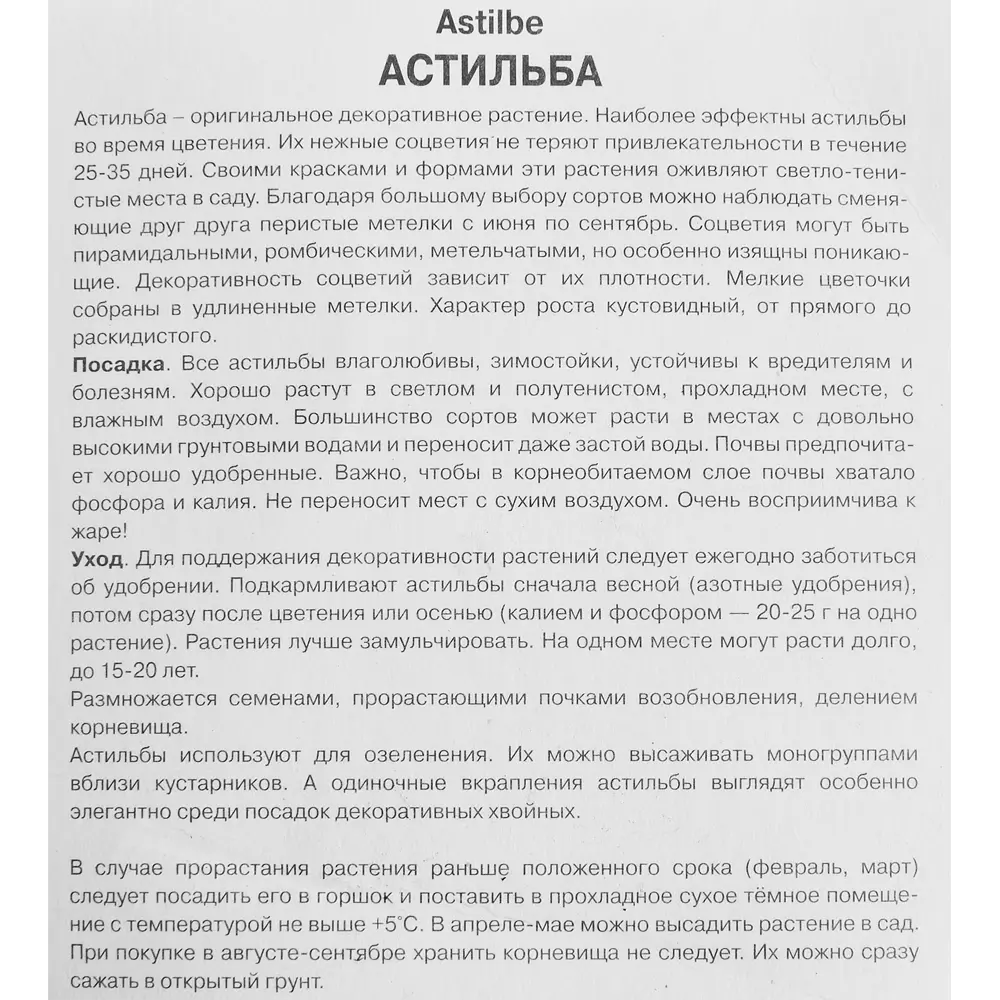 Астильба простолистная Ки Уэст 85205499 STLM-2117635 ПОИСК  - Вид №2