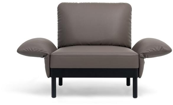 de Sede Кожаное кресло с подлокотниками Ds-840 sun-id-1356772 - Вид №1