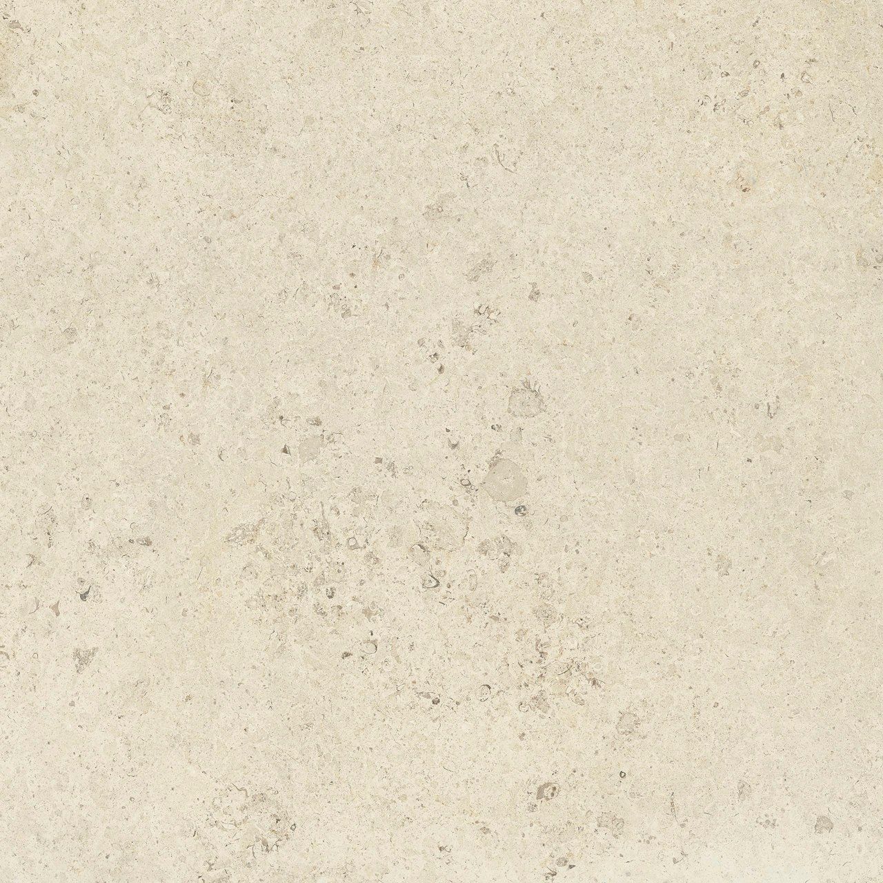 Пол / облицовка керамогранита с эффектом камня Fiandre Pietre Maximum ARCH-00014350 - Вид №14