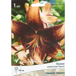 Лилия азиатская махровая Чоклат Ивент 85205788 STLM-2151175