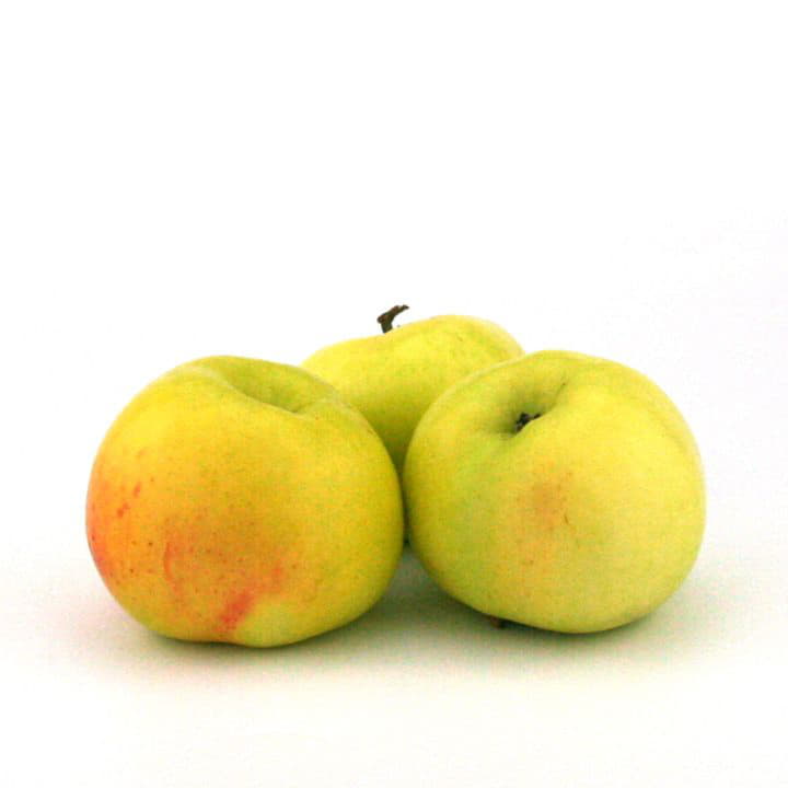 Яблоки Антоновка Santreyd 8788 - Вид №1