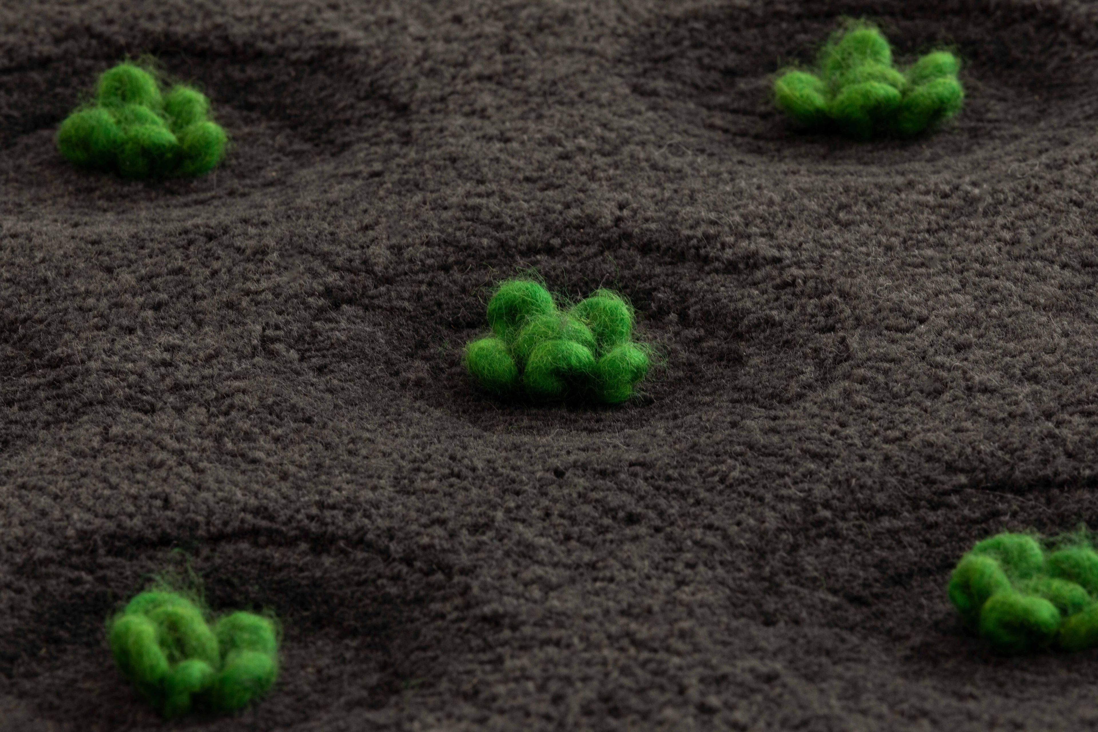 Прямоугольный ковер ручной работы из шерсти GAN LA GERIA-LANZAROTE ARCH-00116765 - Вид №4