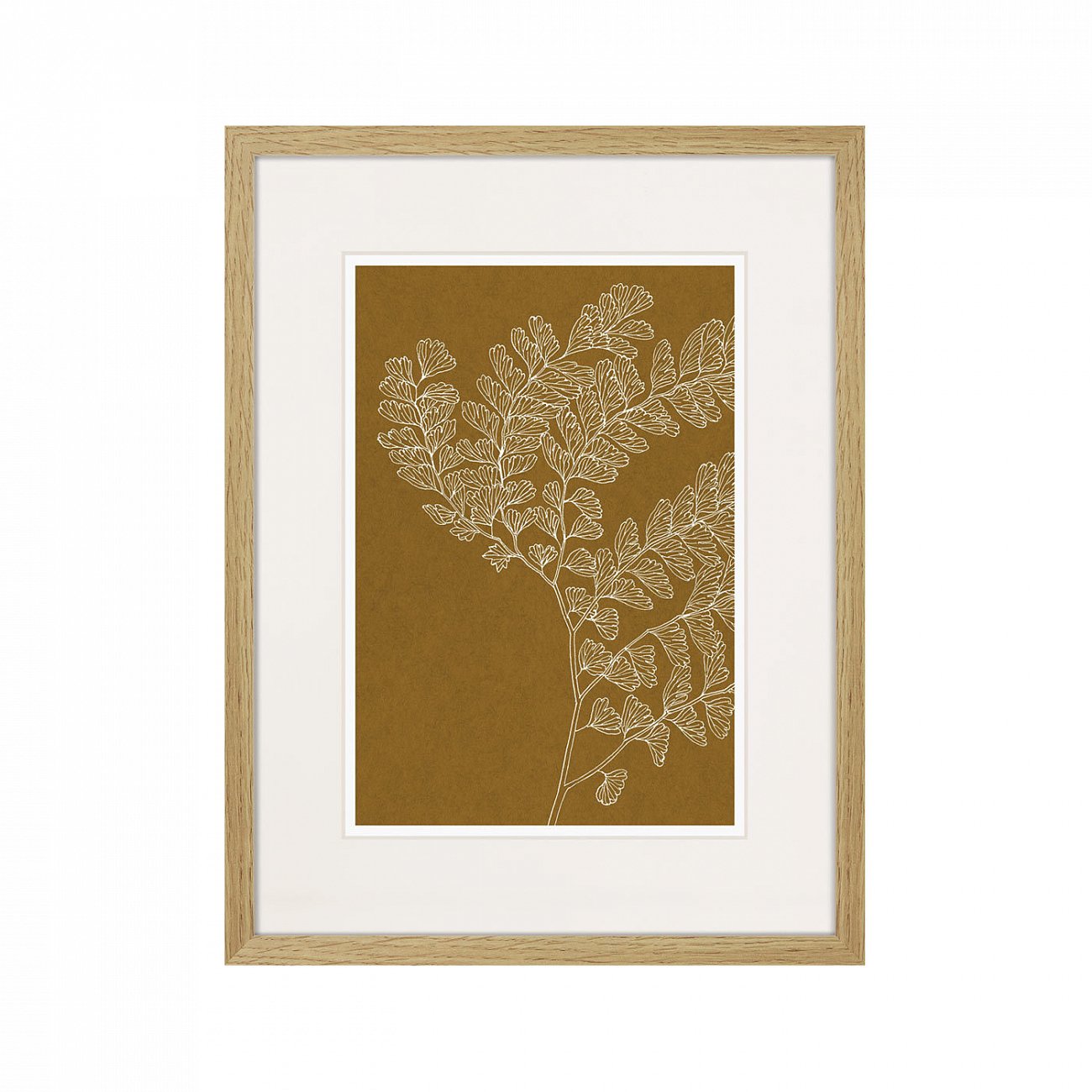 Картина 42х32 см The Fern Collection №16 КАРТИНЫ В КВАРТИРУ  00-3894677 Коричневый  - Вид №1