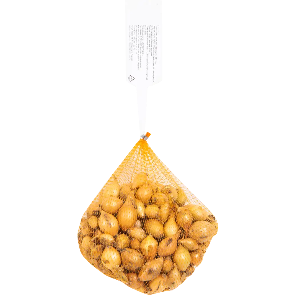 Лук-севок Центурион 10/21 0.5 кг Santreyd STLM-2155219 - Вид №1