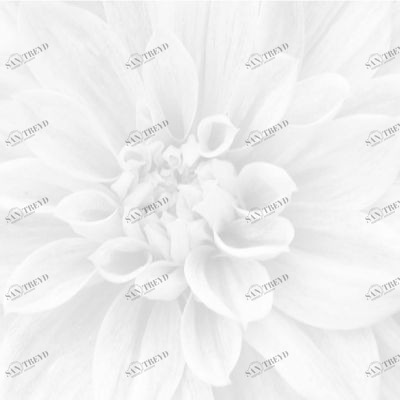 SIGMA ПАННО ИЗ 3-Х ШТ 36-05-00-463-0 60Х60 Laparet 3605004630