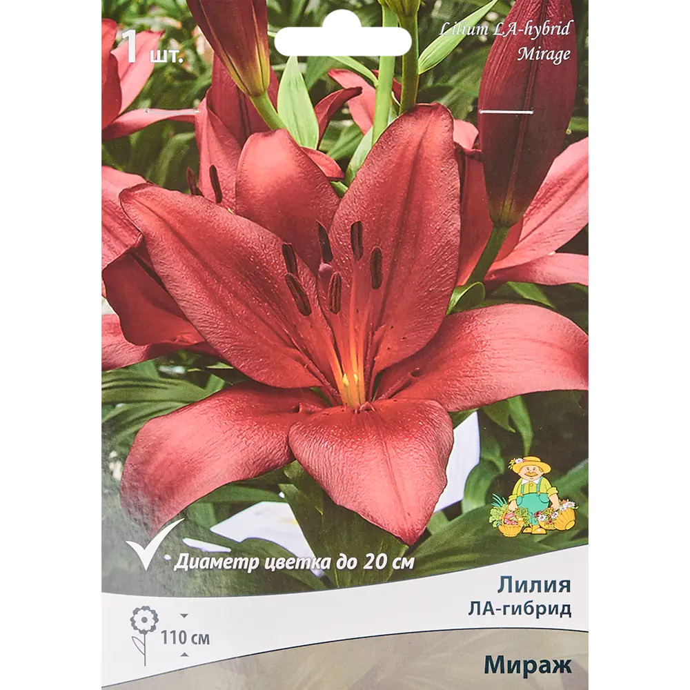 Корневище лилия ла-гибрид Мираж красный 82693454 STLM-2194278 Santreyd 