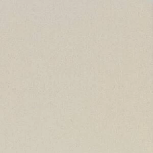 Керамогранит Standard ST 17 40x40 Неполированный