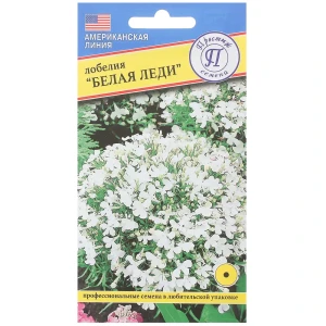 Лобелия кустовая «Белая леди»