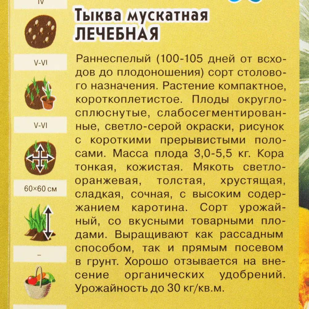 Семена Тыква «Лечебная» 2 г ГАВРИШ STLM-2007326 - Вид №2