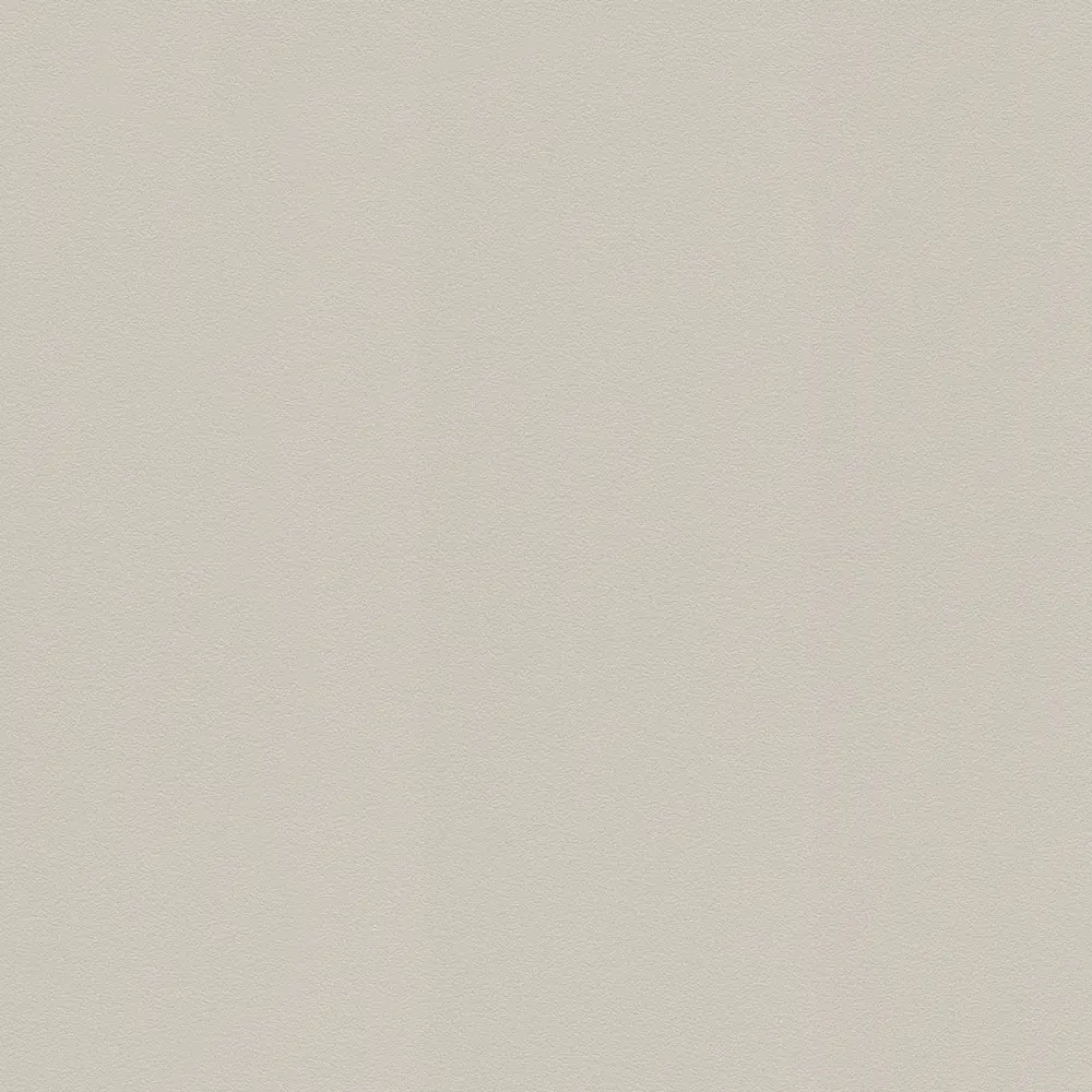 Обои флизелиновые Rasch Францгеом серые 0.53 м 806823 STLM-2081553 - Вид №1
