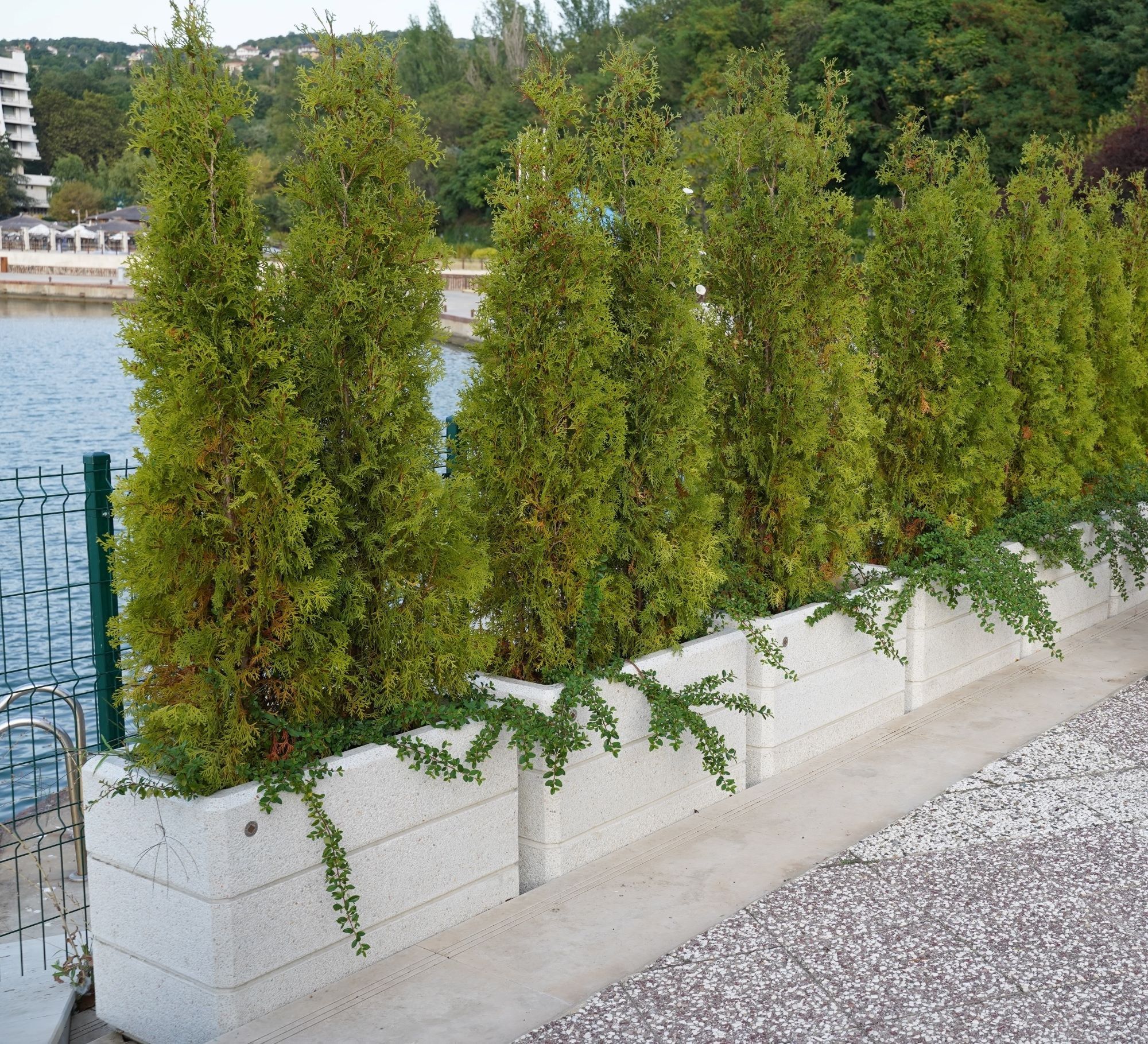 Бетонная плантатор ENCHO ENCHEV - ETE 78/79 ARCH-00121964 - Вид №3