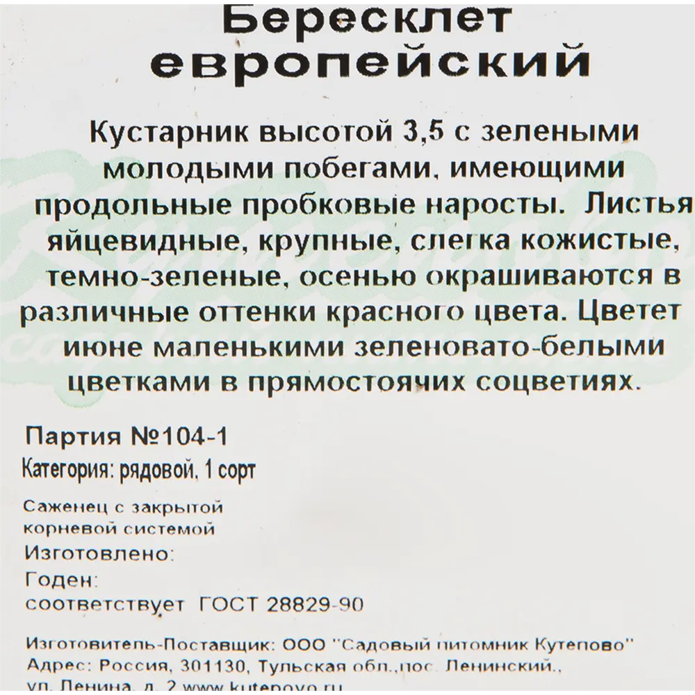 Бересклет европейский 15x40 см 82595238 STLM-2170589 Santreyd  - Вид №1