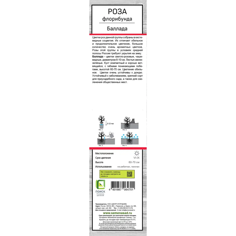 Роза флорибунда Баллада h37 см 83786578 STLM-2195428 Santreyd  - Вид №2