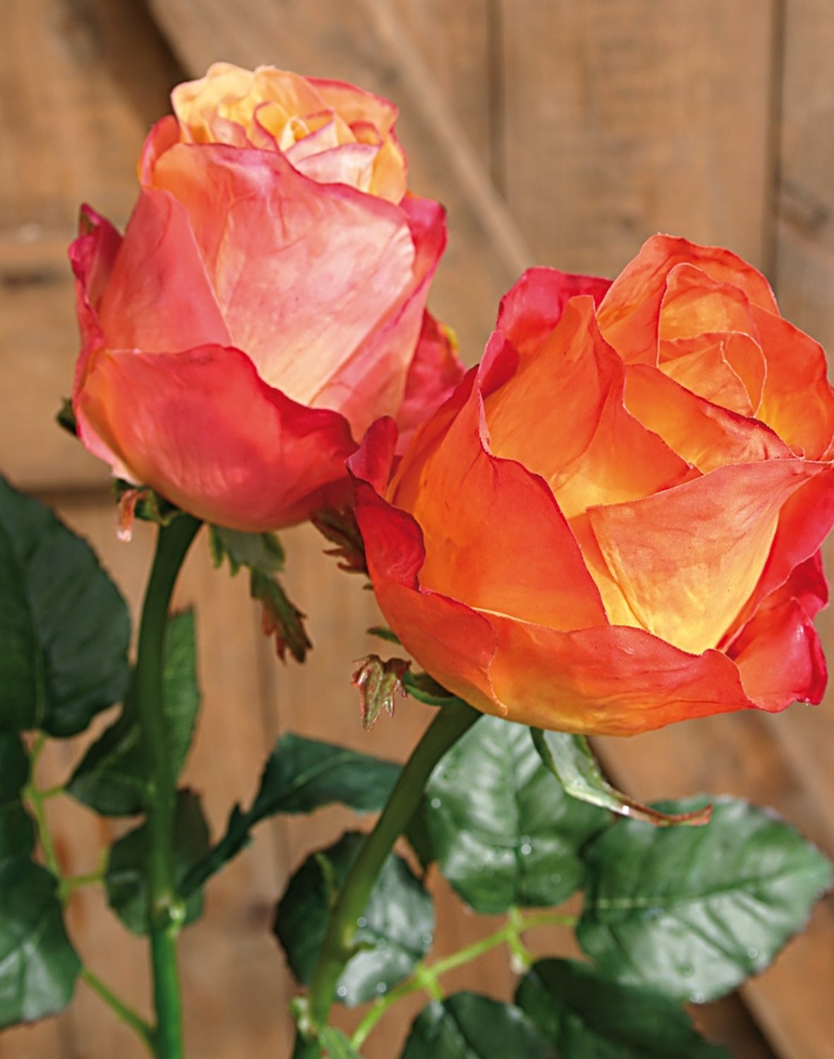 3257 334 a3 Шелковые бутоны роз Equador, 103 см, real touch, оранжевые H-andreas  - Вид №3