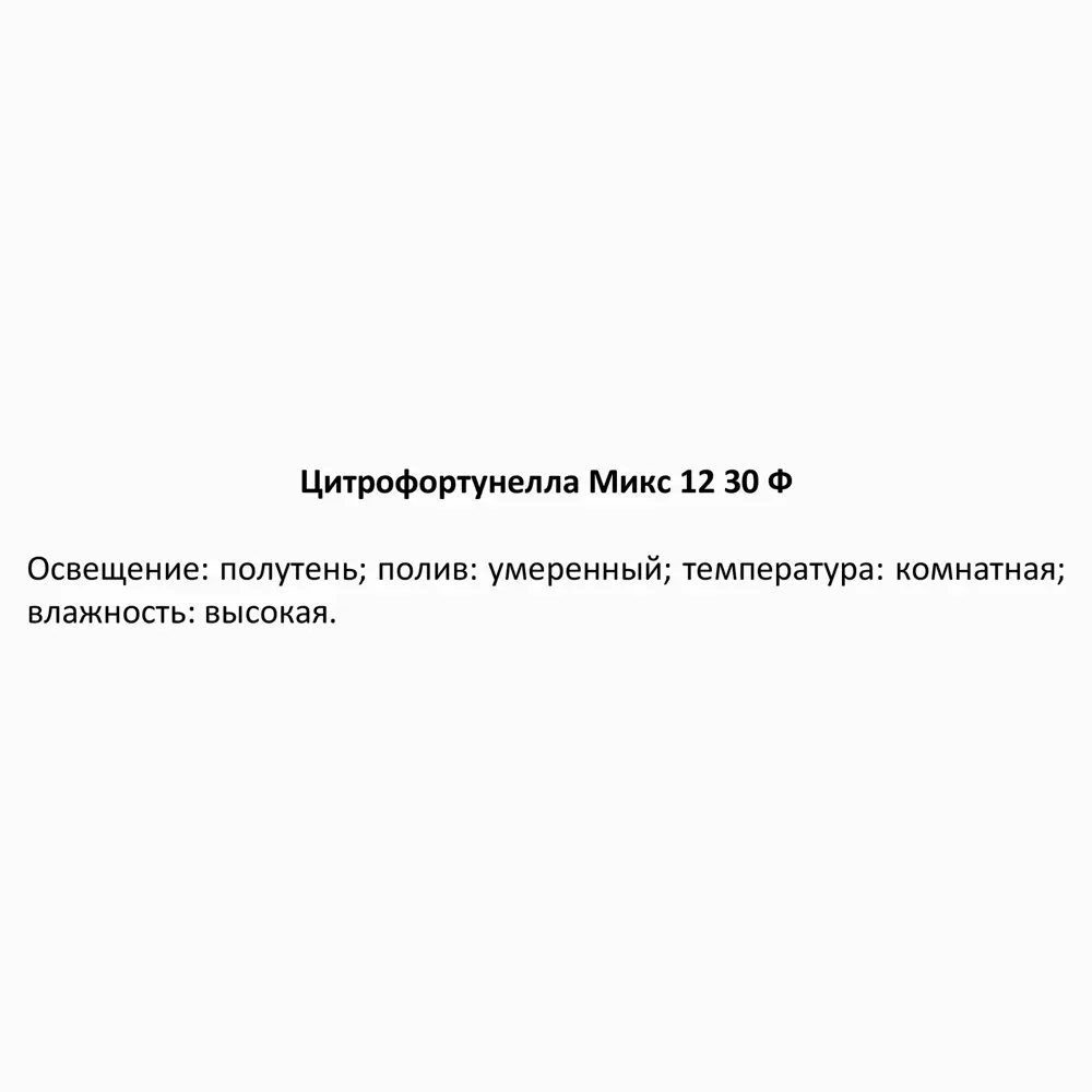 Цитрофортунелла микс ø12 h30 см 85324857 STLM-2057179 Santreyd  - Вид №4