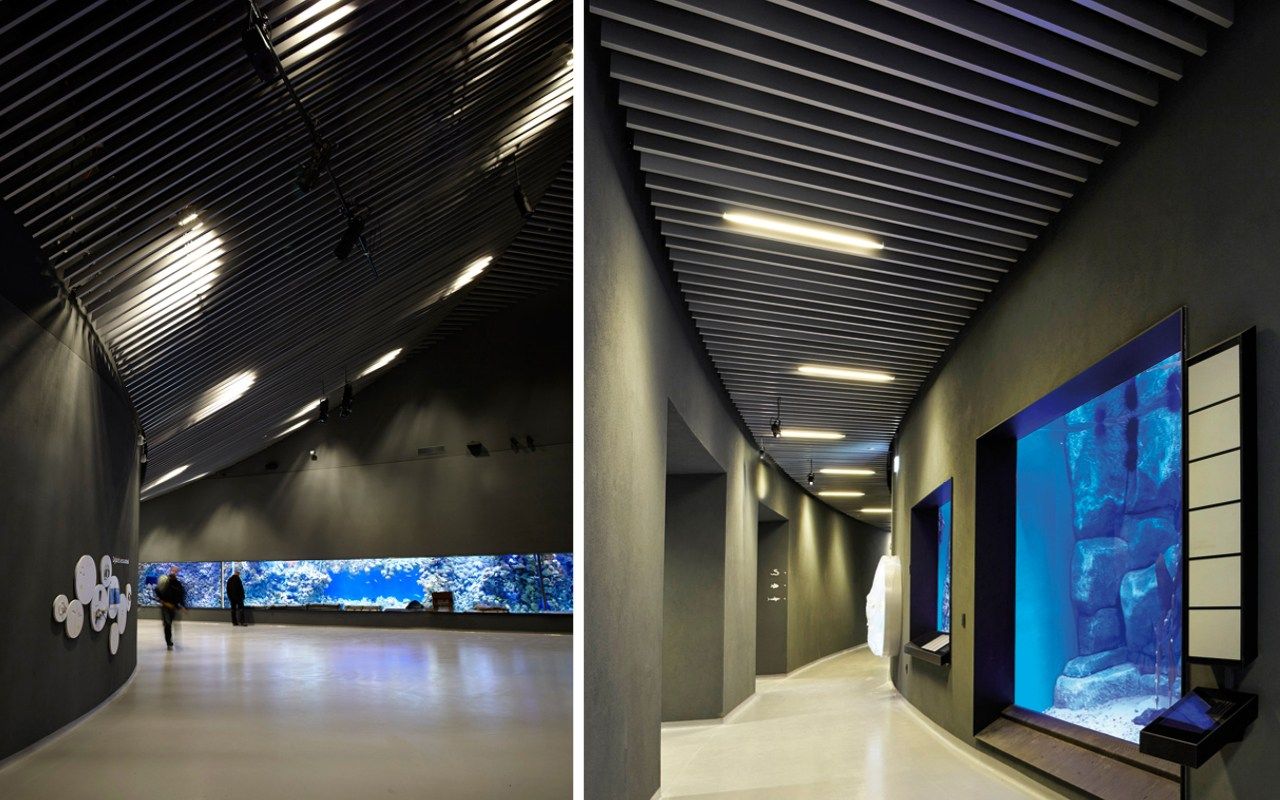 Подвесная акустическая панель atena ATENA BAFFLE ARCH-00057936 - Вид №9