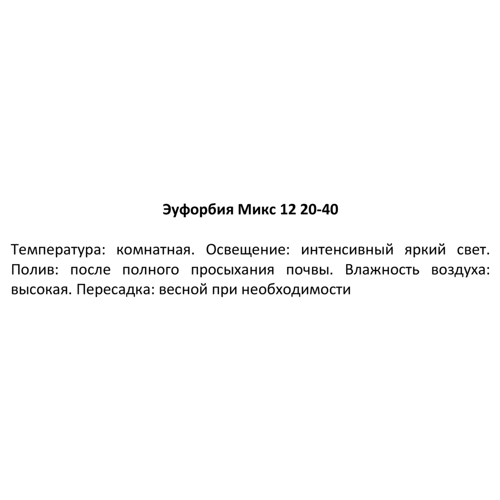 Кактус Эуфорбия микс ø12 h20-40 см 82932728 STLM-2026109 Santreyd  - Вид №3