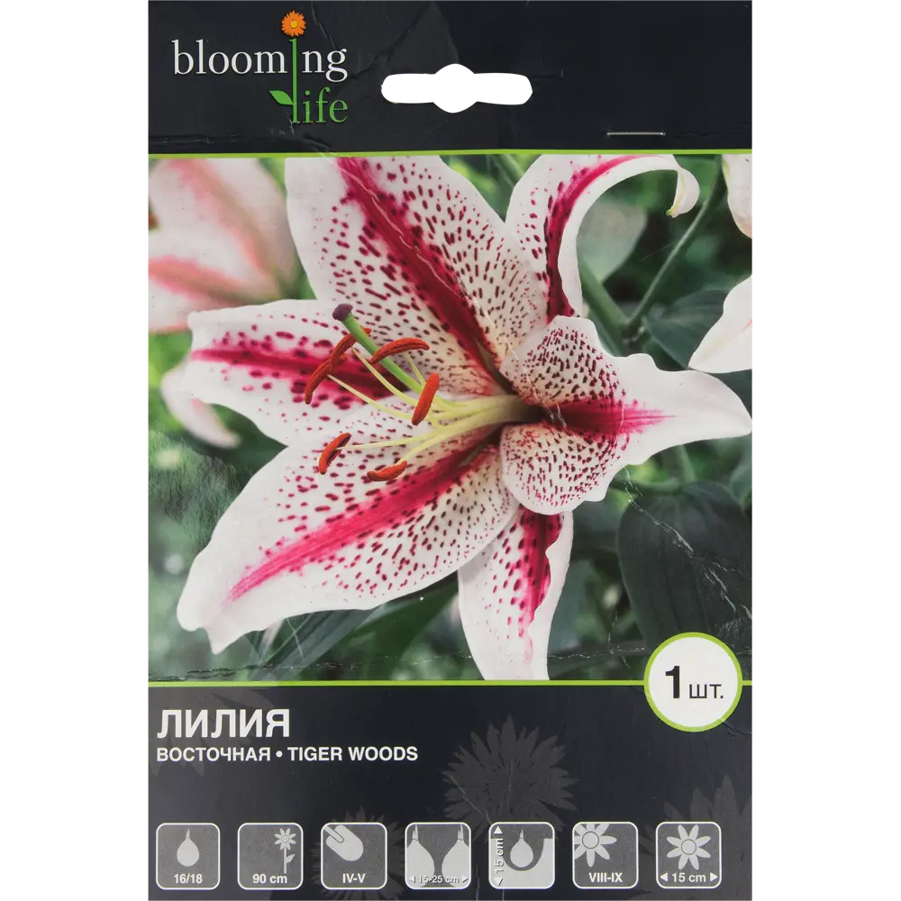 Лилия восточная «Тайгер Вудс» 82539387 STLM-2149594 BLOOMING LIFE 