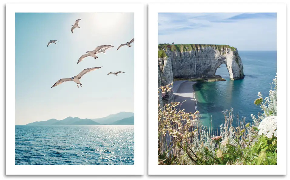Santreyd Постер «Парящие чайки» для стильного интерьера 87794366