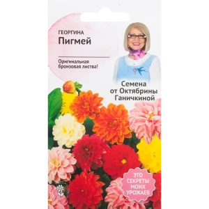 Георгина «Пигмей» смесь окрасок 0.1 г 82481606 STLM-2083067
