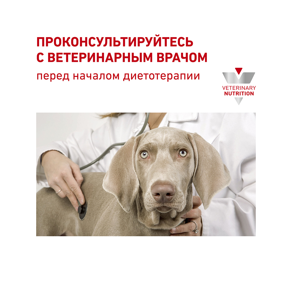 ПР0056149 Корм для собак Vet Diet Renal для мелких пород с хронической болезнью почек сух. 500г ROYAL CANIN  - Вид №7