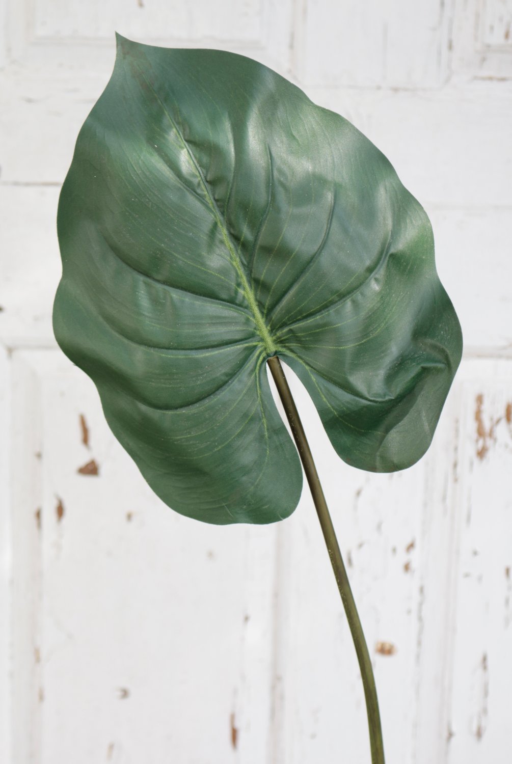 5211 883 a2 Пластиковая пластинка в виде уха слона, 75 см, зеленая H-andreas 