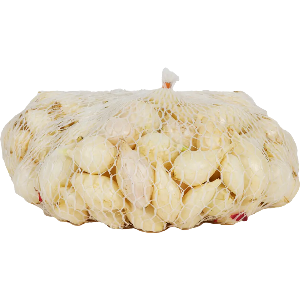 Лук-севок «Стардаст», диаметр луковицы 14-21 мм Santreyd STLM-2061091