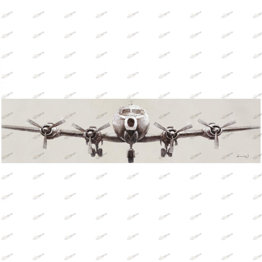 Картина на холсте 100х150 см "Самолет-2" EVENHOME КАРТИНЫ МАСЛОМ, САМОЛЕТЫ 130041 Бежевый;черный;разноцветный 