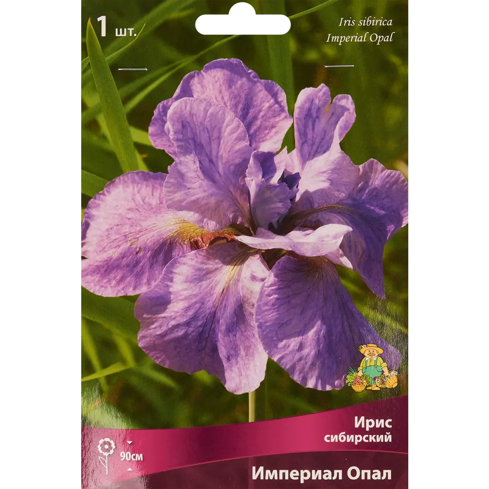Ирис сибирский Империал Опал 1 шт. 83588519 STLM-2189662 Santreyd 