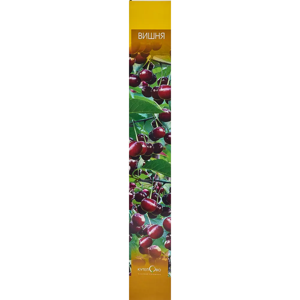 Вишня Харитоновская 9x60 см 83539265 STLM-2103818 Santreyd 