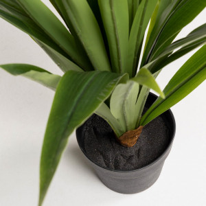 081752 Flower Искусственная юкка 70см La Forma Yucca