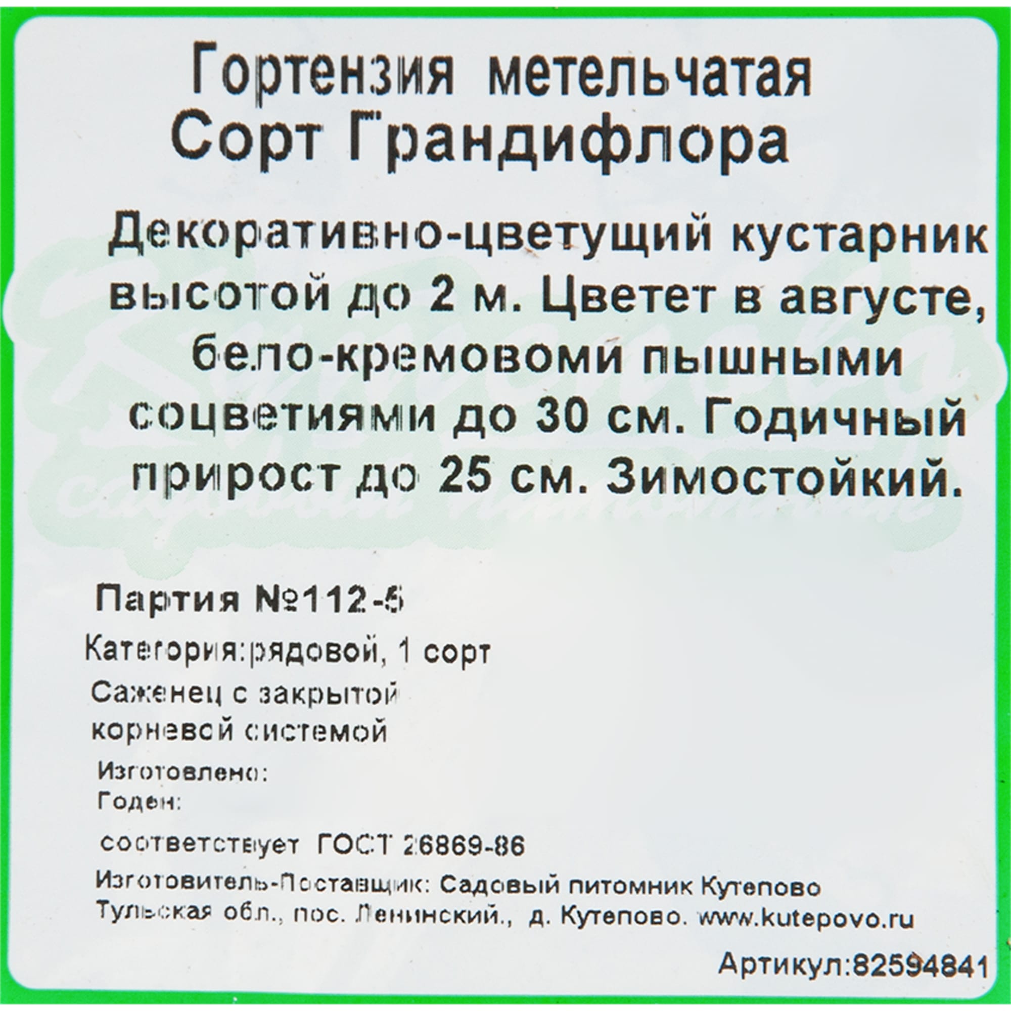 82594841 Гортензия метельчатая «грандифлора» 15x20 см Santreyd  - Вид №1