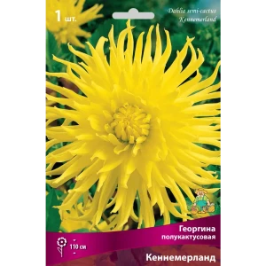 Георгины полукактусовые Кеннемерланд I, 1 шт 82530144 STLM-2060095