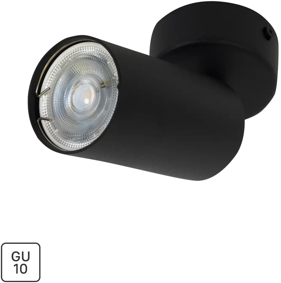 Поворотный спот Arte Lamp Arius — акцентное освещение для современного интерьера 82138004