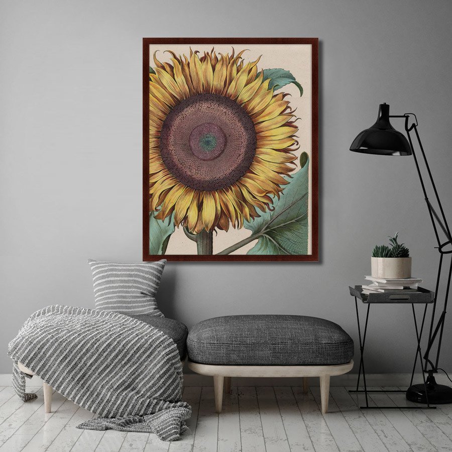 Картина в раме 78,5х100 см Large sunflower (Flos Solis Maior), 1713г. КАРТИНЫ В КВАРТИРУ  264280 Желтый;зеленый;коричневый;разноцветный  - Вид №2