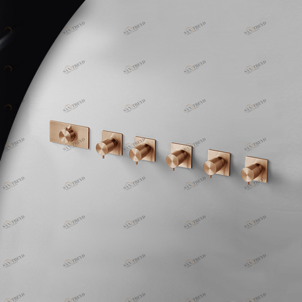 Термостат для душа AICO TER58R розовое золото Radomonte