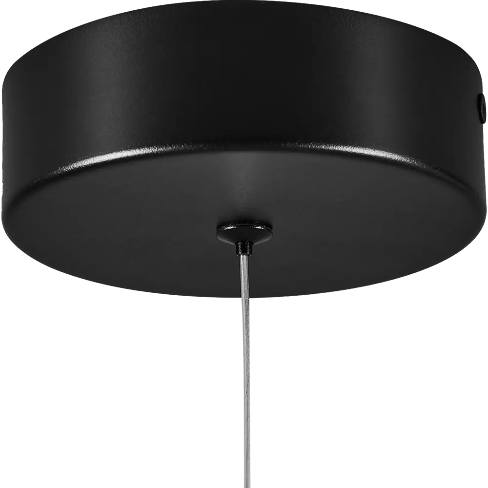 Светильник подвесной «Frankie» 1 лампа цвет черный 89364906 STLM-2046644 Arte Lamp  - Вид №3