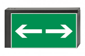 DST-870 Lisu pennant Daisalux Светильники аварийные Металлический Серый