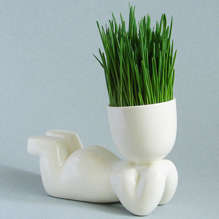 1003 Набор для выращивания eco мечтатель Экочеловеки  - Вид №6